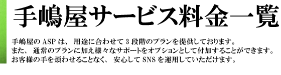 手嶋屋ASP料金一覧